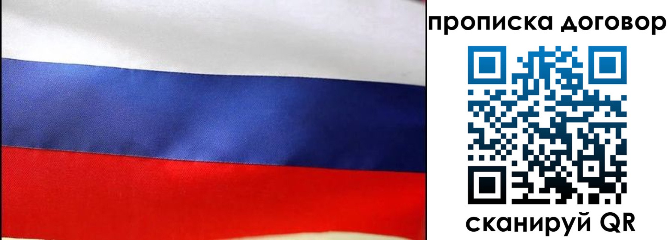 прописка гарантия в Смоленской области
