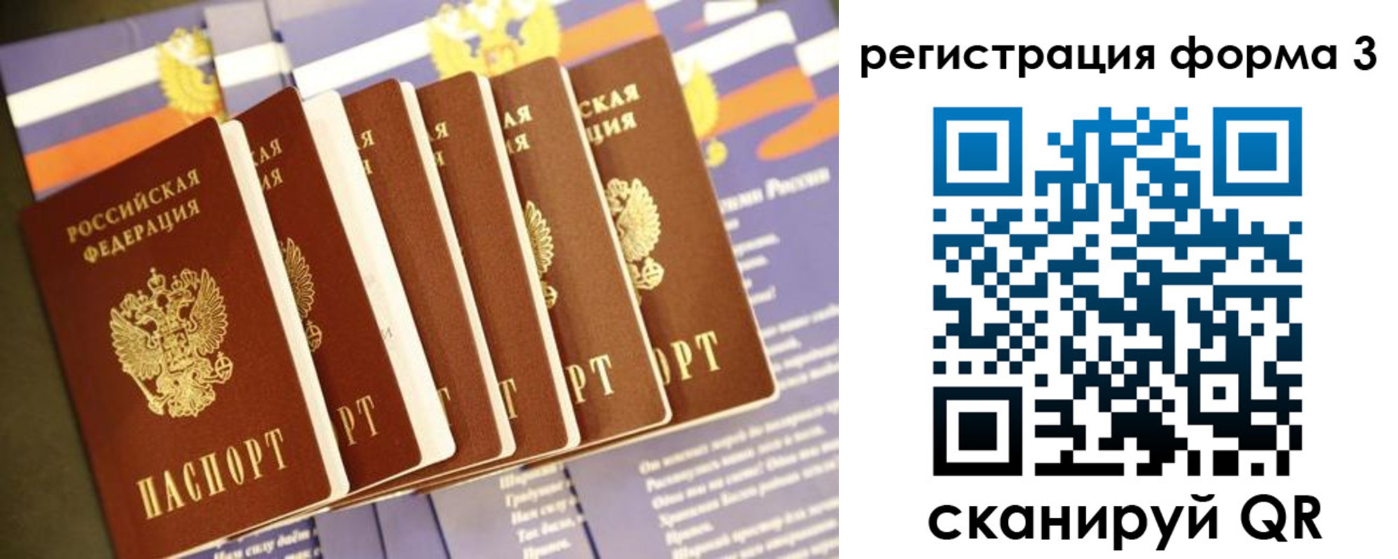 прописка поиск в Смоленской области